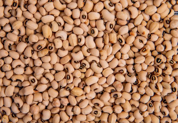 Cowpea (Alsande)