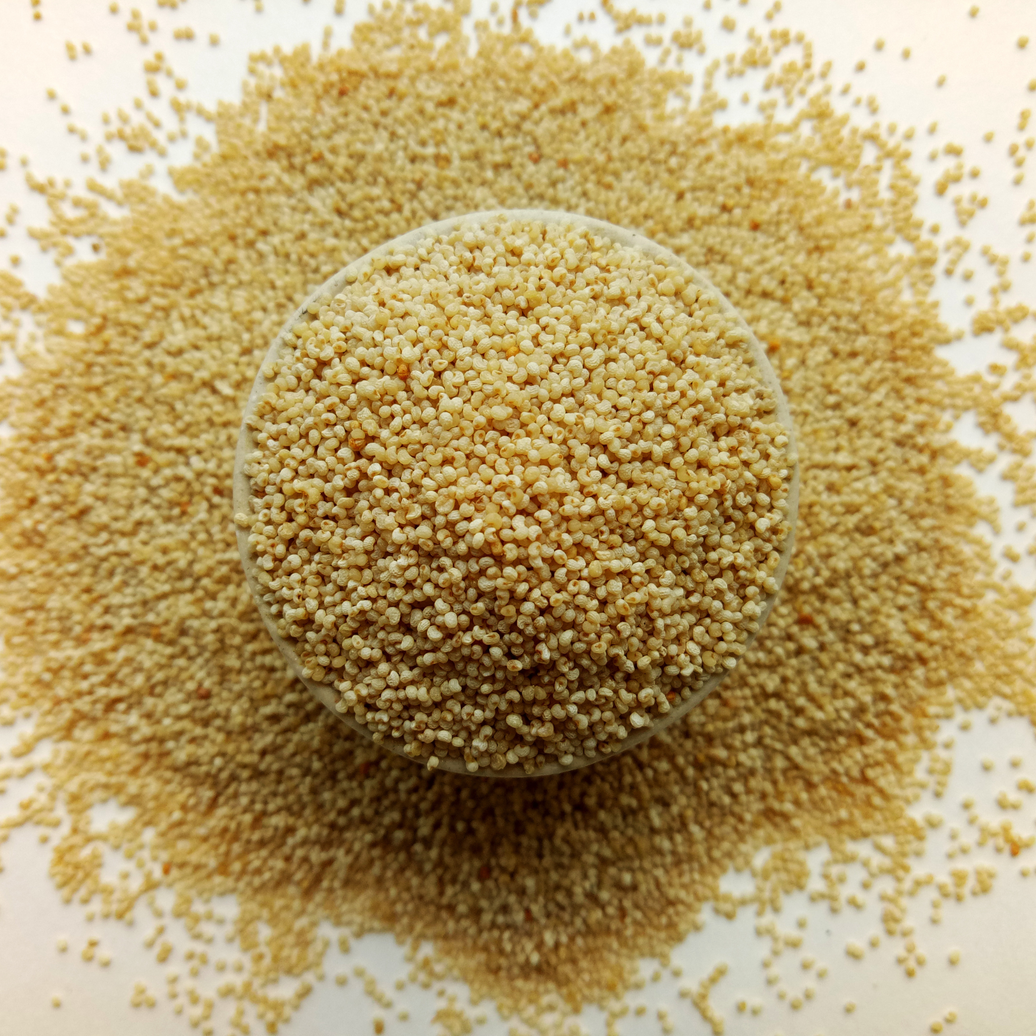 Poppy Seeds
