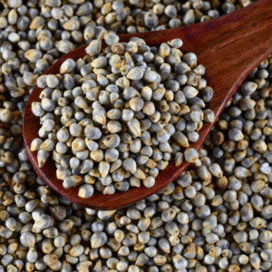 Pearl Millet Whole (Bajra Whole)