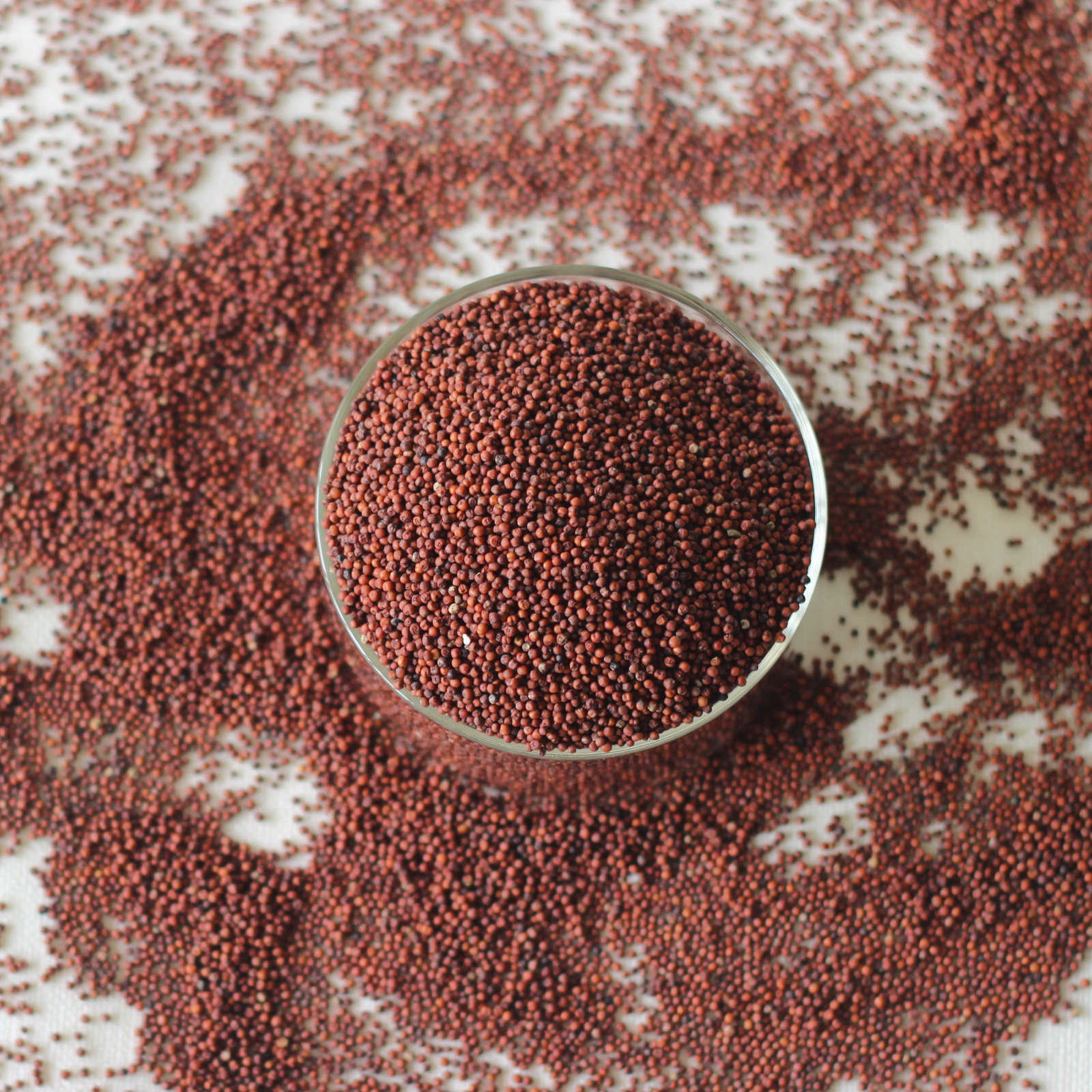 Ragi Whole (Finger Millet Whole)
