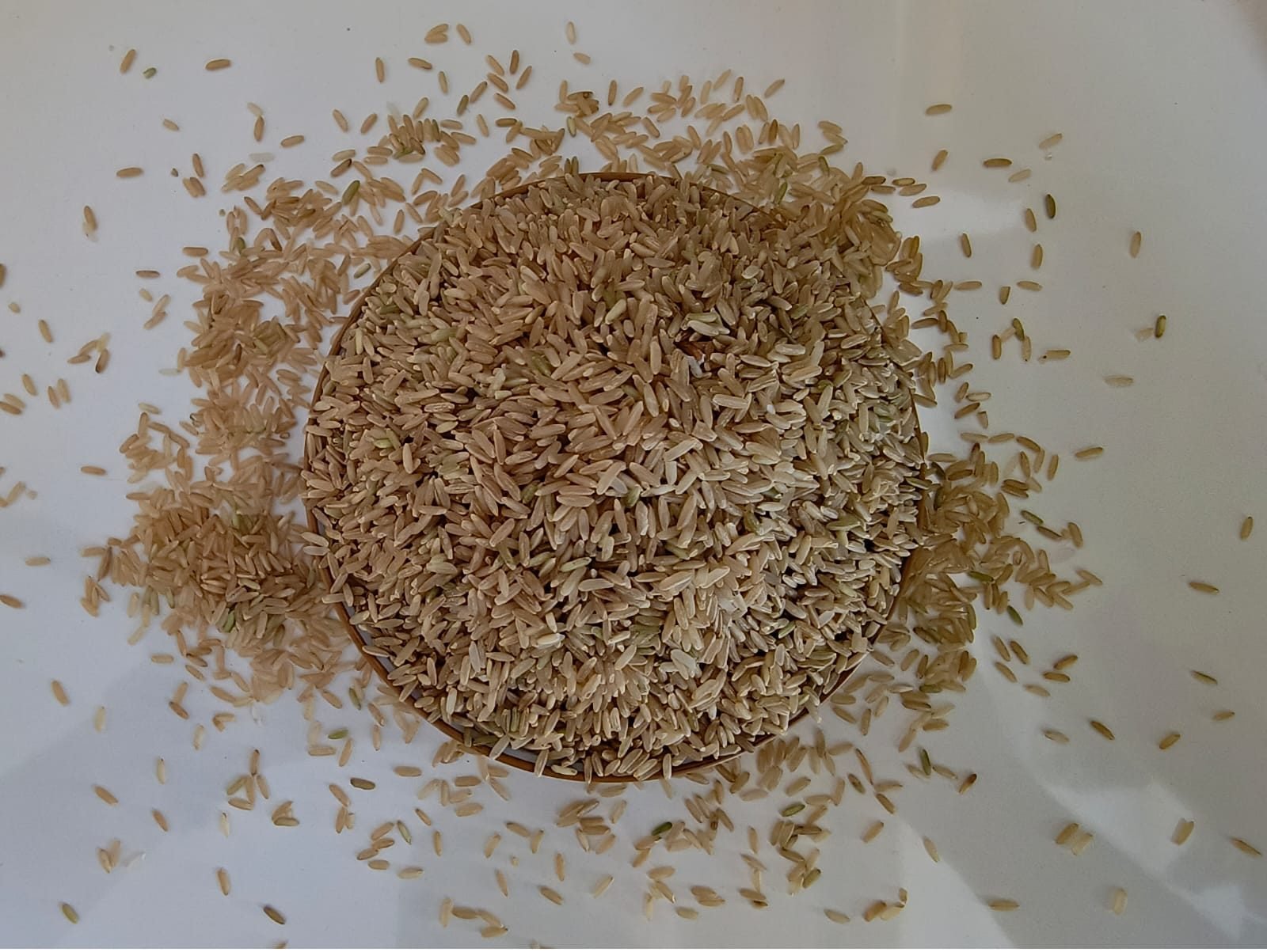 Grain Bro Zero Polished Brown Rice 10kg - Image 4