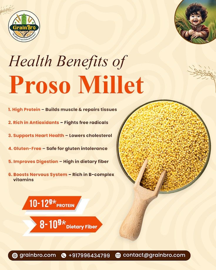 Proso Millet – Desi/Native Variety - Image 2